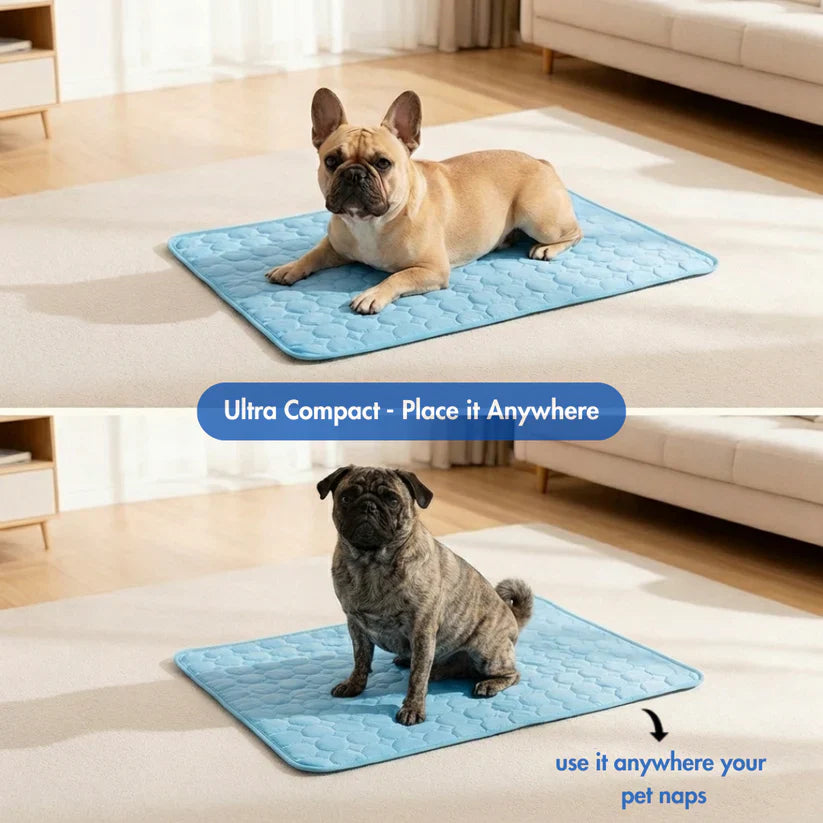 Fanyil™ DreamPaws CoolBreath Mat